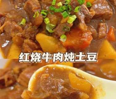 红烧牛肉做法_红烧牛肉做法 最正宗的做法视频