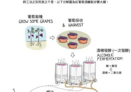 制作葡萄酒的方法