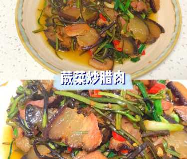 蕨菜炒肉的做法_蕨菜炒肉的做法视频