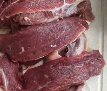 腱子肉_腱子肉是什么部位的肉