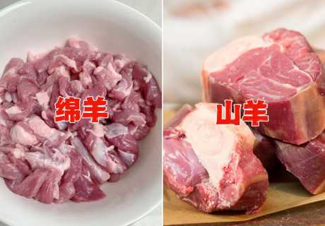 山羊肉_山羊肉和绵羊肉哪个好吃