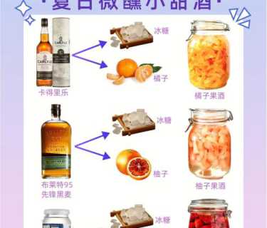 自酿水果酒_自酿水果酒的制作方法