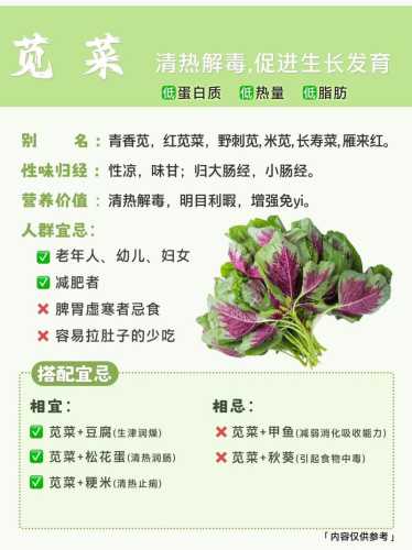 苋菜的营养价值