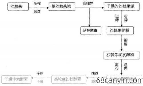 水果孝素的制作方法