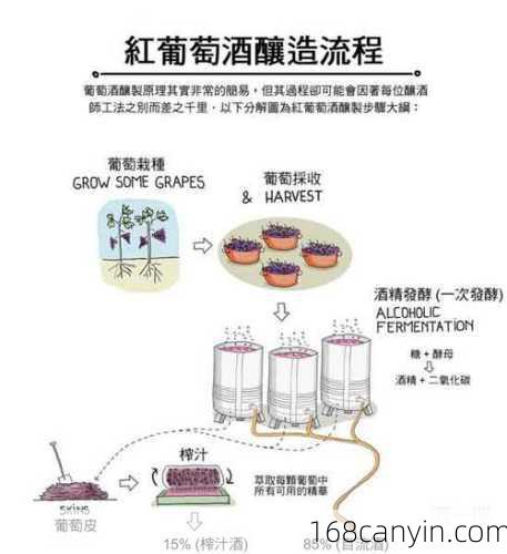 怎样酿葡萄酒_怎样酿葡萄酒家常做法视频