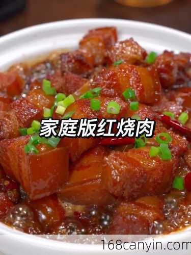 红烧肉做法大全有图