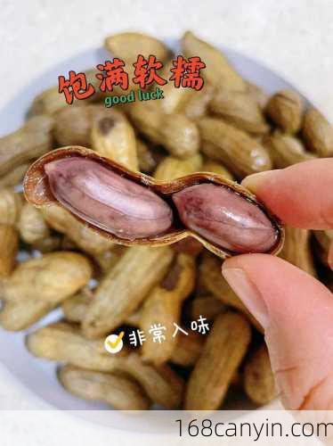 煮花生怎么煮好吃_煮花生怎么煮好吃入味