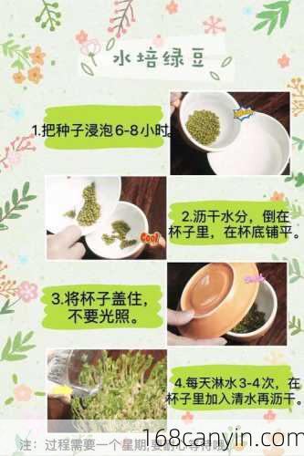 生绿豆芽的方法_家庭版生绿豆芽的方法