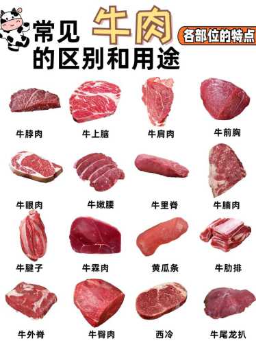 黄牛肉_黄牛肉和普通牛肉的区别