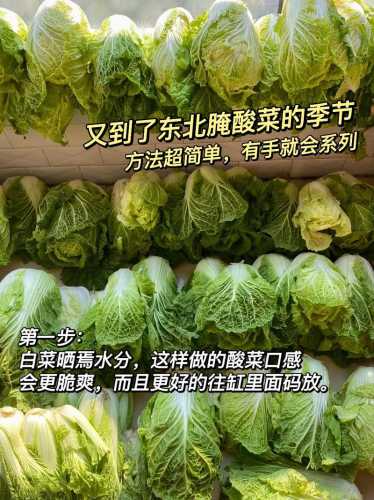 东北腌酸菜的做法