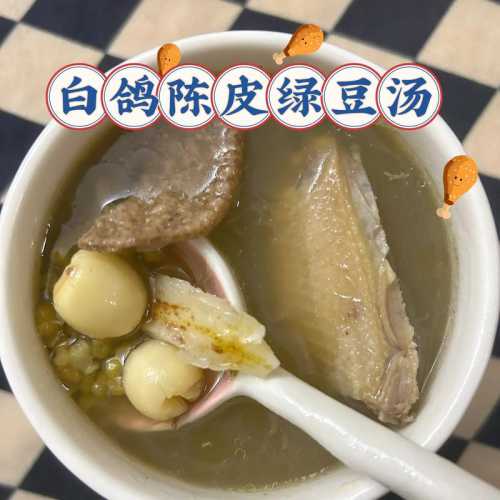 乳鸽绿豆汤_乳鸽绿豆汤怎么做