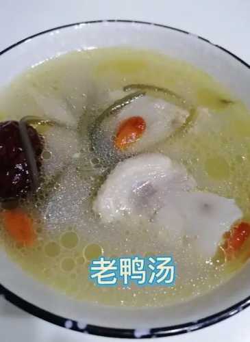 老鸭汤做法_老鸭汤做法视频