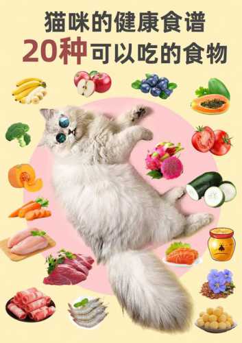 猫咪食谱大全_猫咪食谱大全及图片