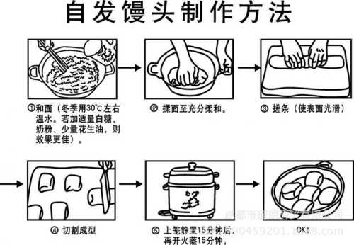 发面馒头的做法大全