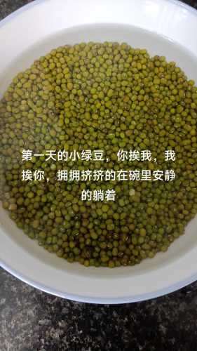 豆芽怎么发_豆芽怎么发最快又好