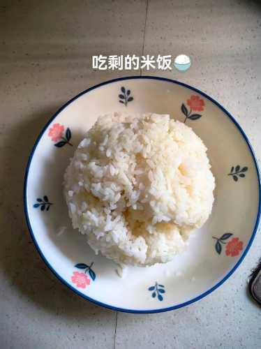 剩米饭的做法大全_剩米饭的做法大全 简单