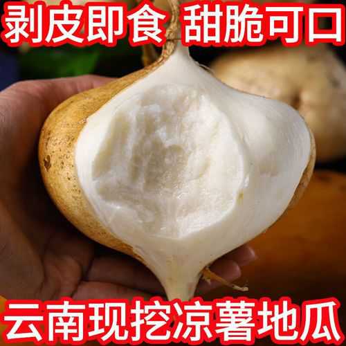 豆薯_豆薯的作用与功效