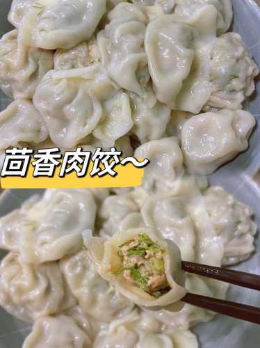 猪肉茴香饺子最佳做法