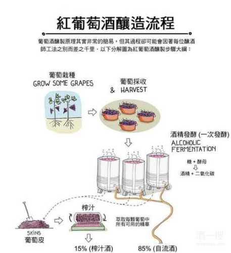 自制葡萄酒做法