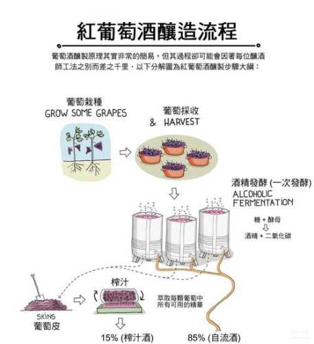 葡萄酒制作方法