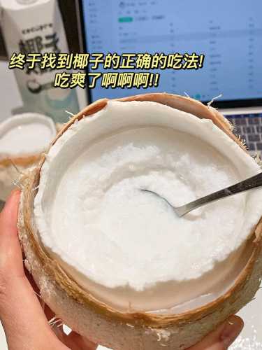 椰浆怎么做成椰汁