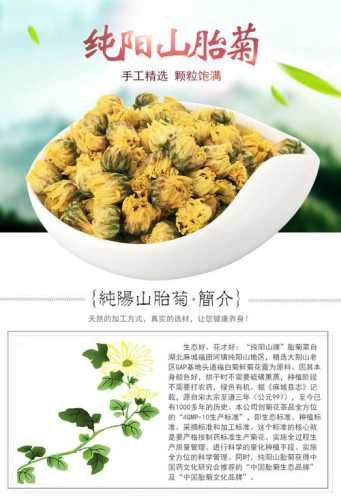 麻城福白菊_麻城福白菊的功效