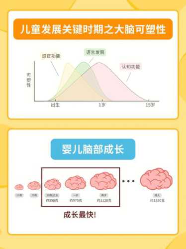 婴儿的营养_婴儿的营养是从母体的哪里和哪里获得的