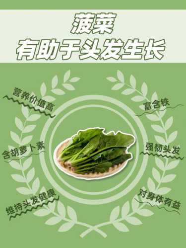 菠菜_菠菜的功效与作用