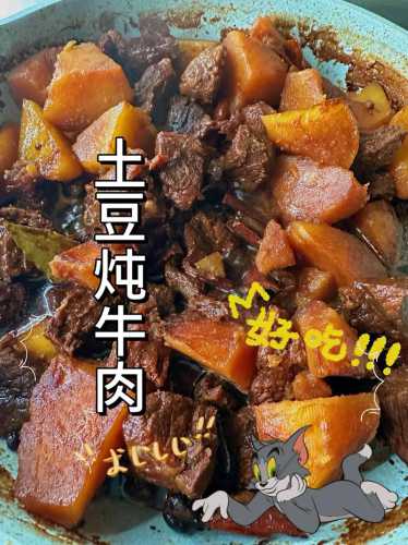 牛肉怎么炖好吃_牛肉怎么炖好吃又烂放什么调料