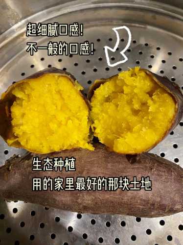 家常红薯做法大全图解