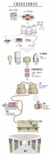 制作葡萄酒的最好方法