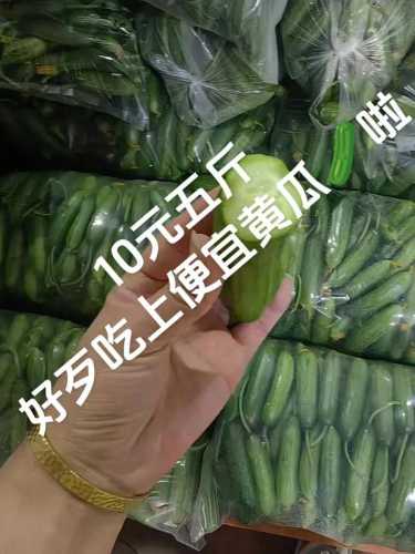 小黄瓜_小黄瓜的功效与作用