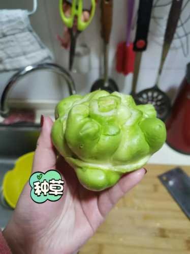 青菜头的做法_青菜头的做法大全