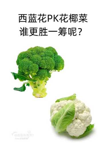 西兰花_西兰花变成花椰菜被判