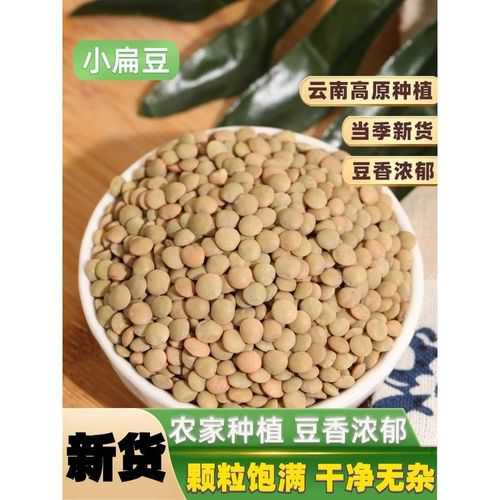 小扁豆_小扁豆的功效与作用