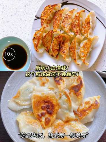 煎饺怎么做_煎饺怎么做视频