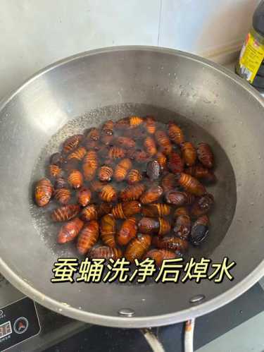 家常炒茧蛹的做法