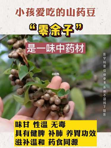 山药豆的功效与作用