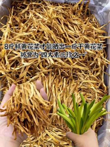 干黄花菜经典做法