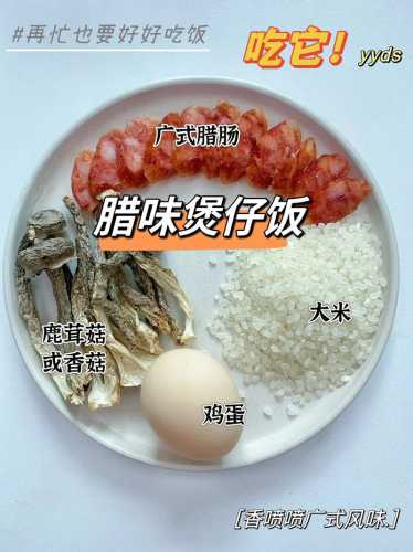 广式煲仔饭_广式煲仔饭的做法